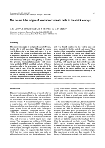 The neural tube origin of ventral root sheath cells in... E. R. LUNN , J. SCOURFIELD , R. J. KEYNES