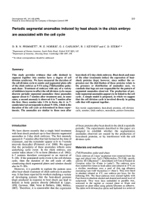 Periodic segmental anomalies induced by heat shock in the chick... are associated with the cell cycle