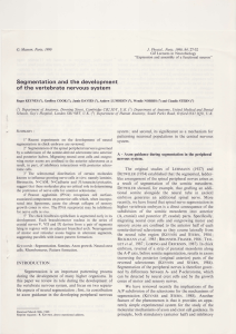 J. Physiol., Paris, 1990, 84,27-32 @ Masson, Paris, 1990