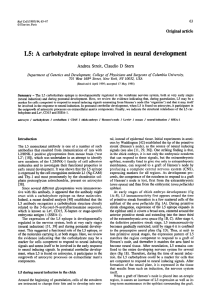 LS:  A  carbohydrate Original  article