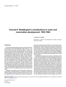 Conrad H. Waddington’s contributions to avian and mammalian development, 1930-1940
