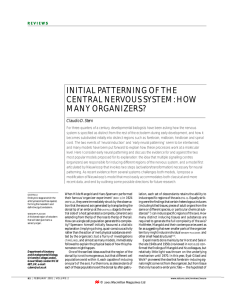 INITIAL PATTERNING OF THE CENTRAL NERVOUS SYSTEM: HOW MANY ORGANIZERS? Claudio D. Stern