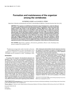 Formation and maintenance of the organizer among the vertebrates KATHERINE JOUBIN