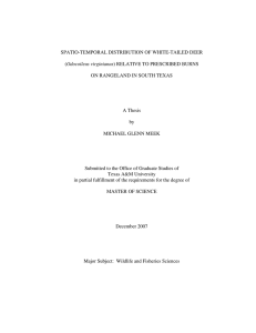 SPATIO-TEMPORAL DISTRIBUTION OF WHITE-TAILED DEER Odocoileus virginianus ON RANGELAND IN SOUTH TEXAS