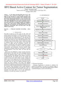 BFO Based Active Contour for Tumor Segmentation –  4