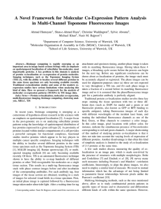 A Novel Framework for Molecular Co-Expression Pattern Analysis