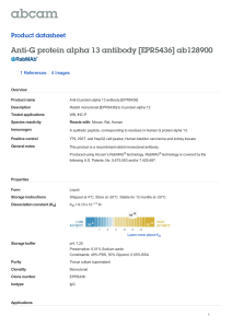 Anti-G protein alpha 13 antibody [EPR5436] ab128900