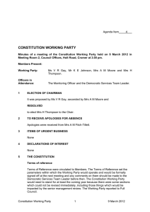 CONSTITUTION WORKING PARTY