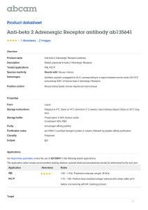 Anti-beta 2 Adrenergic Receptor antibody ab135641 Product datasheet 1 Abreviews 2 Images