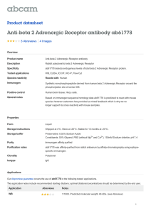 Anti-beta 2 Adrenergic Receptor antibody ab61778 Product datasheet 3 Abreviews 4 Images