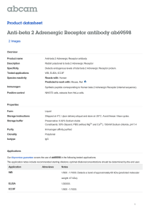 Anti-beta 2 Adrenergic Receptor antibody ab69598 Product datasheet 2 Images Overview