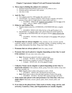 Chapter 5 Agreement: Subject/Verb and Pronoun/Antecedent