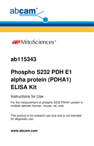ab115343 Phospho S232 PDH E1 alpha protein (PDHA1)