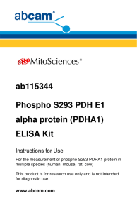 ab115344 Phospho S293 PDH E1 PDH E1
