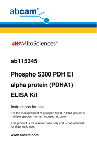 ab115345 Phospho S300 PDH E1 PDH E1