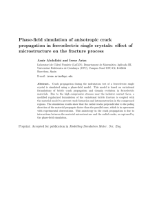Phase-field simulation of anisotropic crack microstructure on the fracture process
