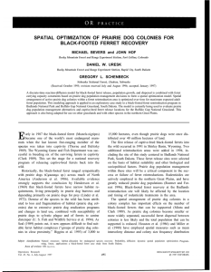 SPATIAL OPTIMIZATION OF PRAIRIE DOG COLONIES FOR BLACK-FOOTED FERRET RECOVERY