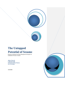 The Untapped Potential of Sesame  Julian Glucroft