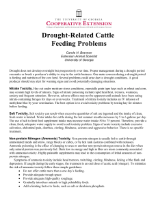 Drought-Related Cattle Feeding Problems