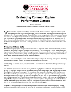 W Evaluating Common Equine Performance Classes