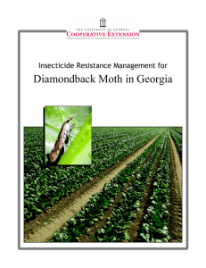 Diamondback Moth in Georgia Insecticide Resistance Management for