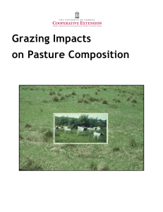 Grazing Impacts on Pasture Composition