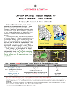 University of Georgia Herbicide Programs for Tropical Spiderwort Control in Cotton