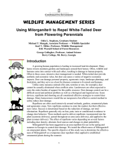 Wildlife Management Series Using Milorganite® to Repel White-Tailed Deer from Flowering Perennials