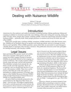Dealing with Nuisance Wildlife