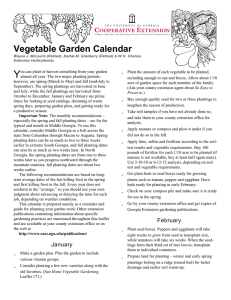 Vegetable Garden Calendar