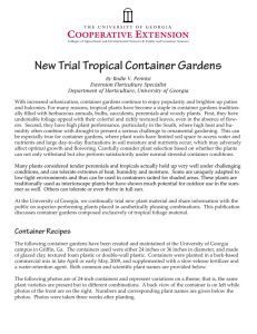 New Trial Tropical Container Gardens