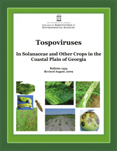 Tospoviruses in Solanaceae and Other Crops in the Coastal Plain...