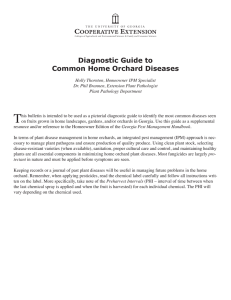 Diagnostic Guide to Common Home Orchard Diseases