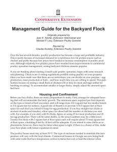 Management Guide for the Backyard Flock