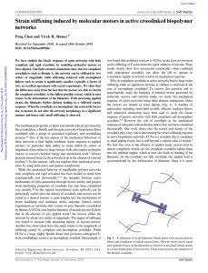 Strain stiffening induced by molecular motors in active crosslinked biopolymer networks