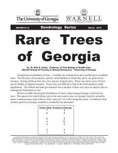 Rare  Trees of  Georgia Dendrology  Series