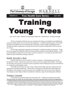 Training Young  Trees Tree Health Care Series