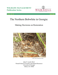 The Northern Bobwhite in Georgia:  Making Decisions on Restoration WILDLIFE MANAGEMENT