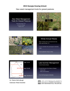 !&#34;#$%&amp;'()*+,%&amp;),-+.*%/01((23% New weed management tools for grazed pastures Winter Annual Weeds