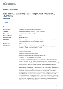 Anti-MTCO2 antibody [EPR3314] (Alexa Fluor® 647) ab200525