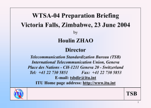 WTSA-04 Preparation Briefing Victoria Falls, Zimbabwe, 23 June 2004 Houlin ZHAO Director