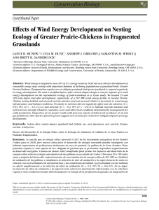 Effects of Wind Energy Development on Nesting Grasslands