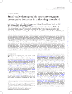 Small-scale demographic structure suggests preemptive behavior in a flocking shorebird Original Article