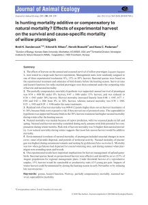 Is hunting mortality additive or compensatory to