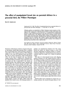 The effect of  manipulated brood size on parental defence... precocial bird, the Willow Ptarmigan K. Brett