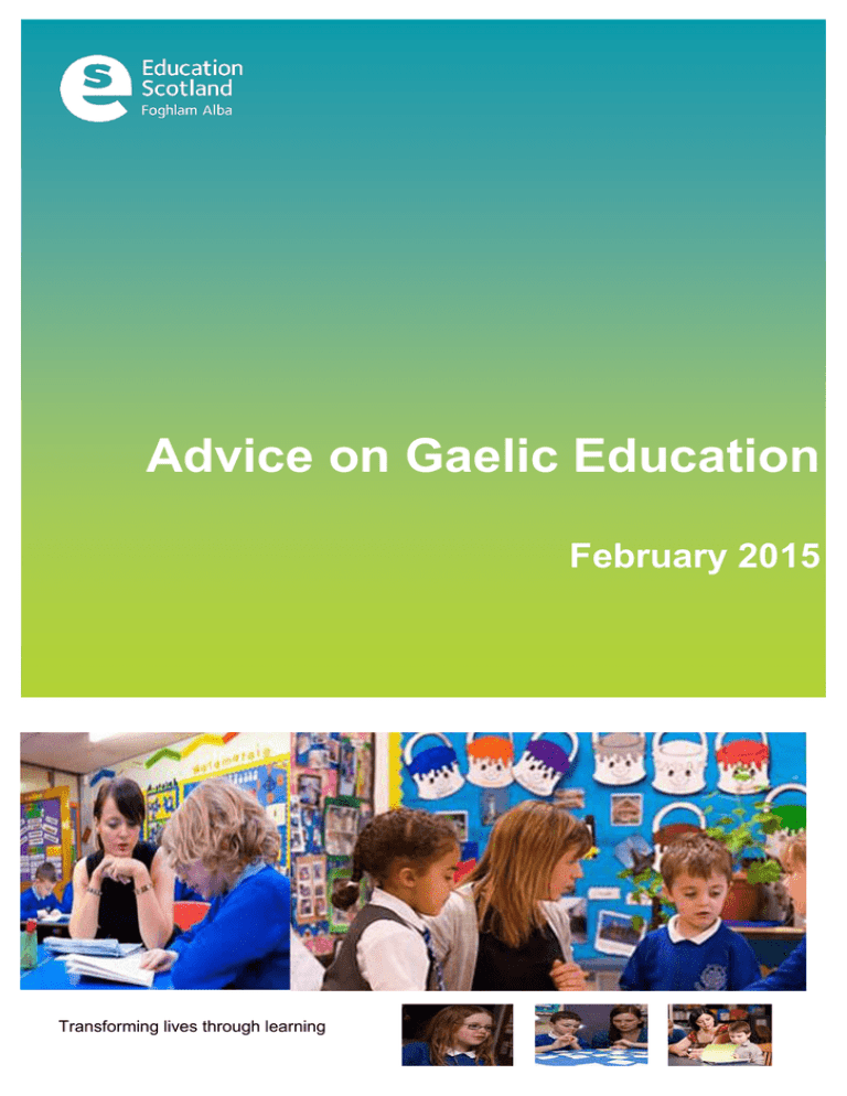 advice-on-gaelic-education-february-2015