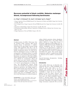 Recovery potential of black rockfish, Sebastes melanops Girard, recompressed following barotrauma
