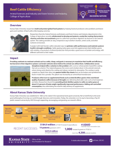 Beef Cattle Efficiency Overview