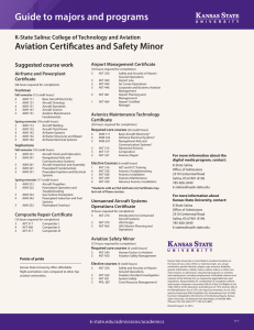 Aviation Certificates and Safety Minor Suggested course work