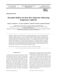 Juvenile Steller sea lion dive behavior following temporary captivity O A